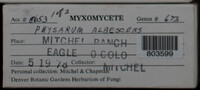 Image Associated With the Occurence